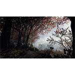 Warhammer Vermintide 2 Collectors Edition