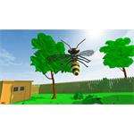 Wasps!