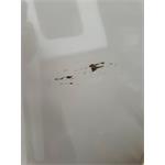Whirlpool UW4 F2Y WB F2