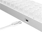 White Shark SHINOBI White, US layout, hnědý switch (GK-2022)