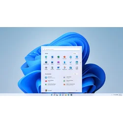 Windows 11 Pro OEM