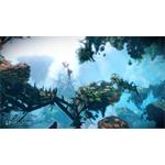 Woolfe The Red Hood Diaries