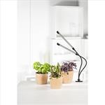 Xavax Stick, LED lampa pre rastliny (112697)