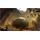 XBOX 360 hra Prince of Persia: The Forgotten Sands COLLECTORS EDITION 