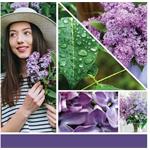 Yankee Candle Lilac Blossoms 567g