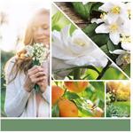 Yankee Candle White Gardenia 567g