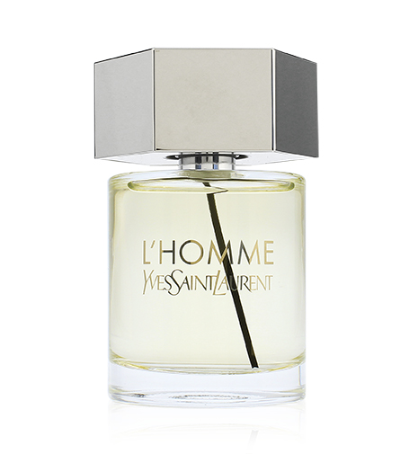 Yves Saint Laurent L'Homme EdT 100ml 3365440316560