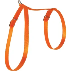 Zolux Postroj pre mačky nylonový 10 mm oranžový