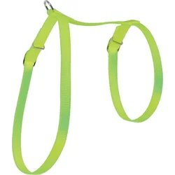 Zolux Postroj pre mačky nylonový 10 mm zelený