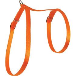 Zolux Postroj pro kočky nylon 10mm oranžový