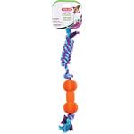 Zolux ROPE BONE guma 35cm mix farieb